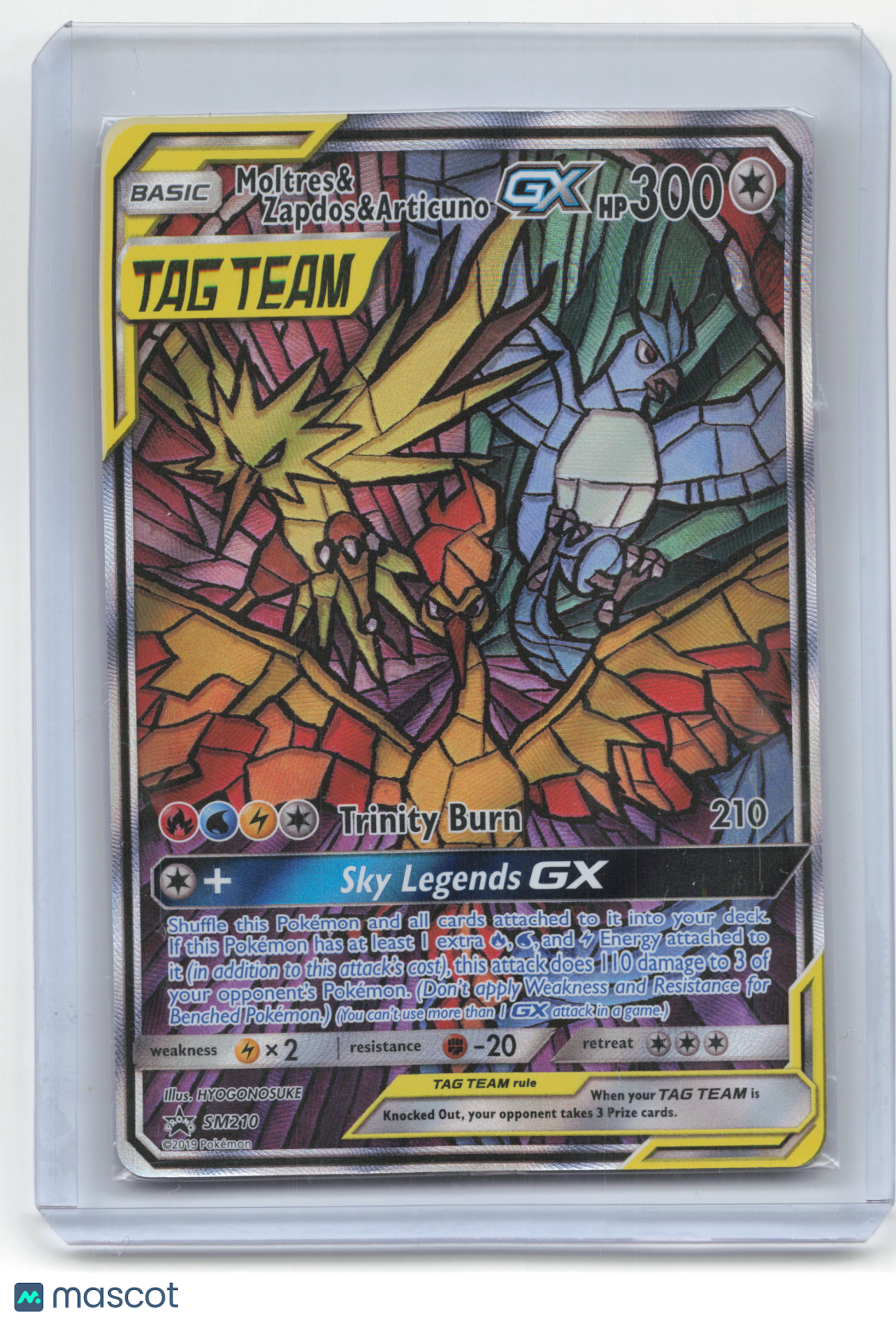 2019 Pokemon Moltres & Zapdos & Articuno GX SM Black Star Promos #SM210 (Sealed)