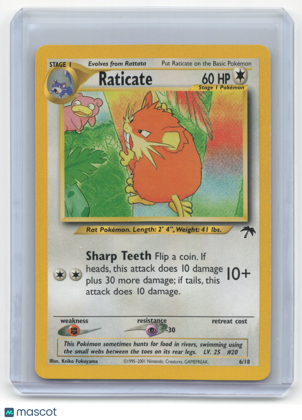 2001 Pokemon Raticate Southern Islands #6/18 Near Mint