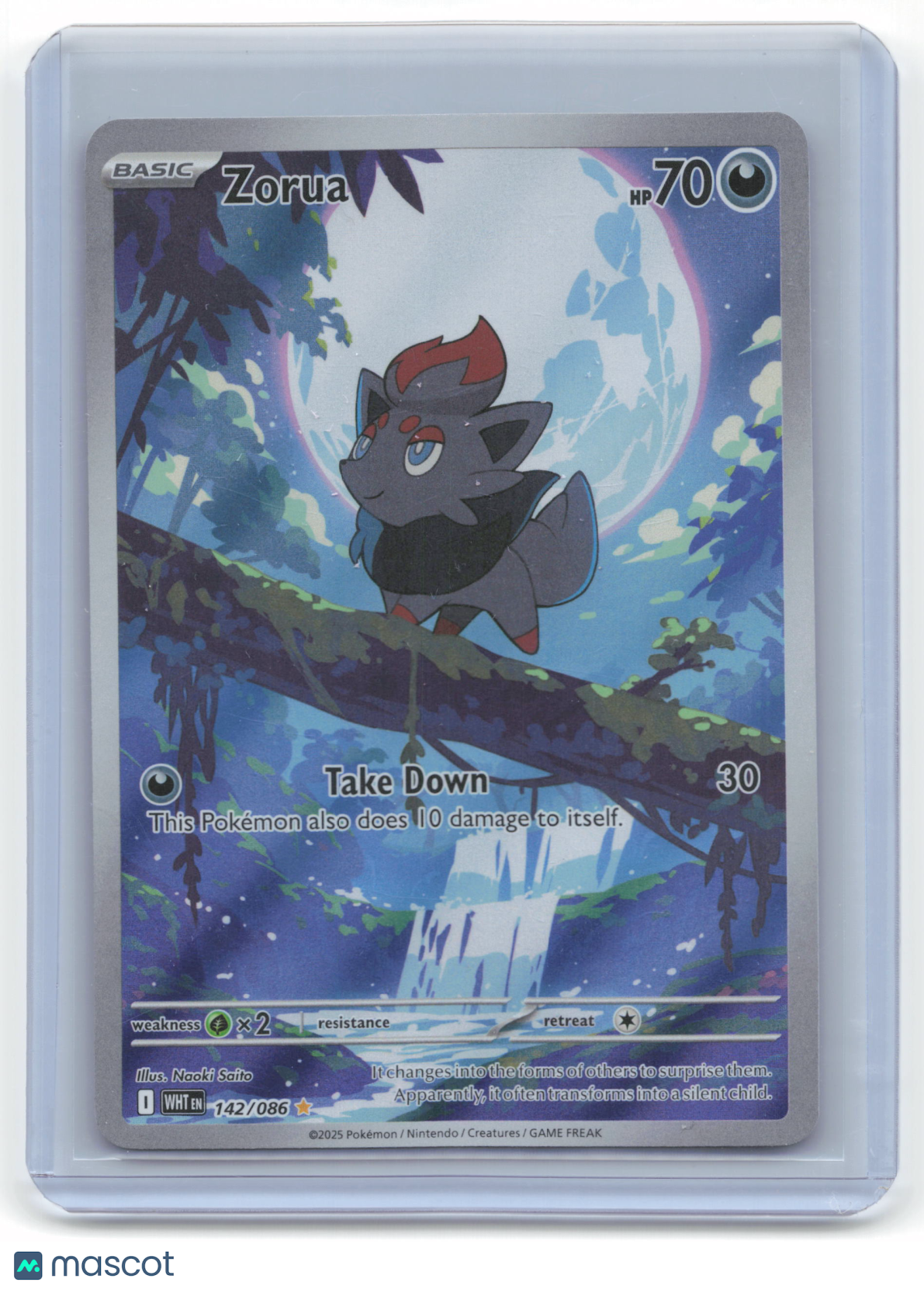 2025 Pokemon Zorua White Flare #142/86 Near Mint