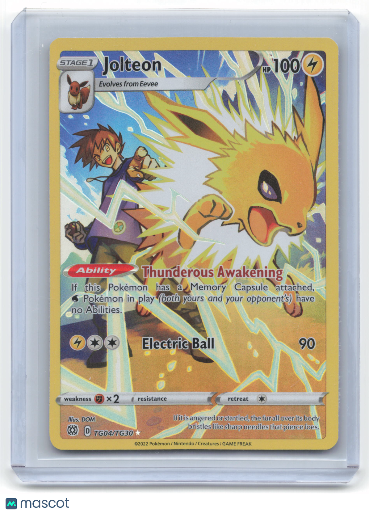 2022 Pokemon Jolteon Brilliant Stars: Trainer Gallery #TG04/TG30 Holo LP