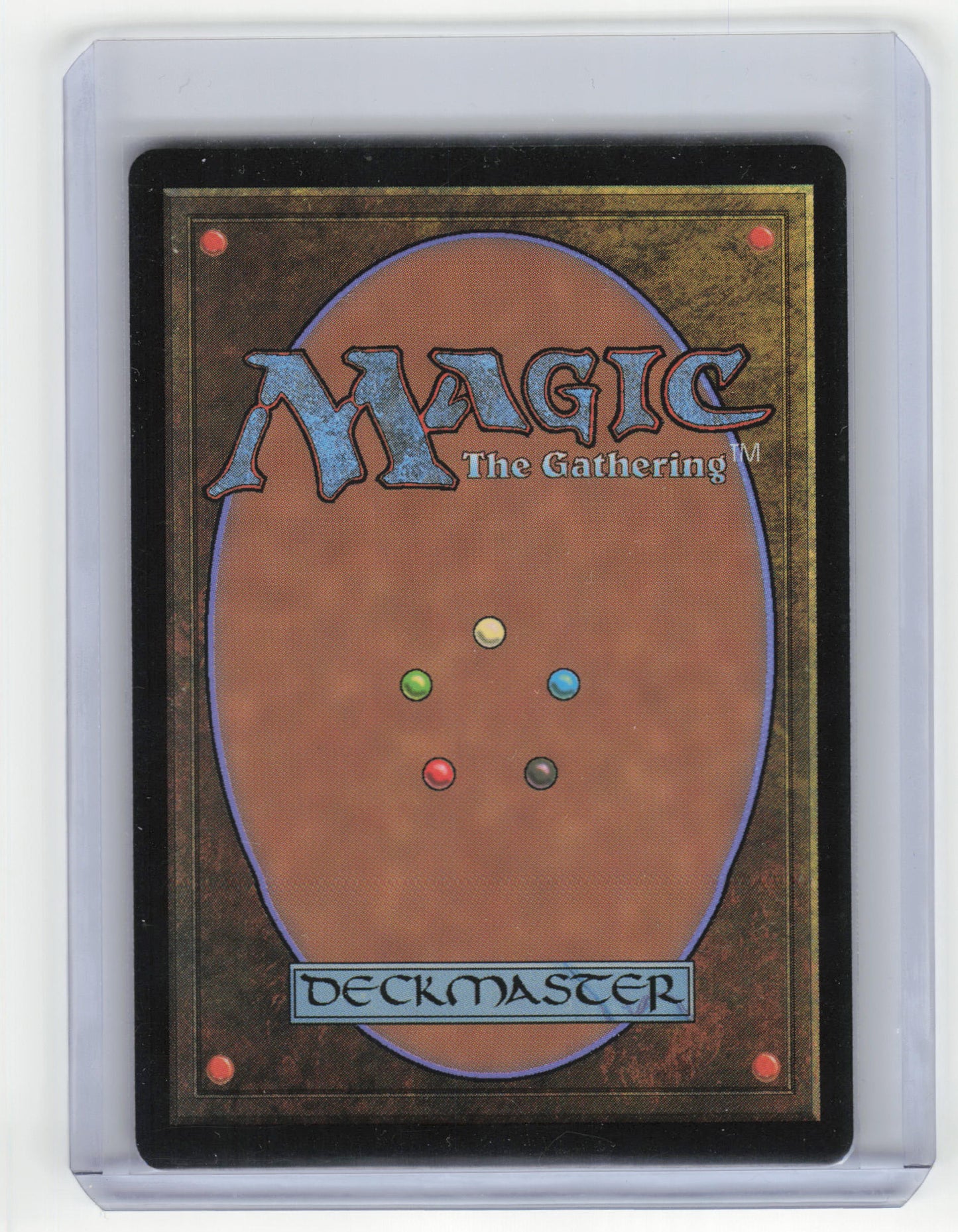 2024 MTG Banner of Kinship Foundations Rare Regular #0484 Borderless