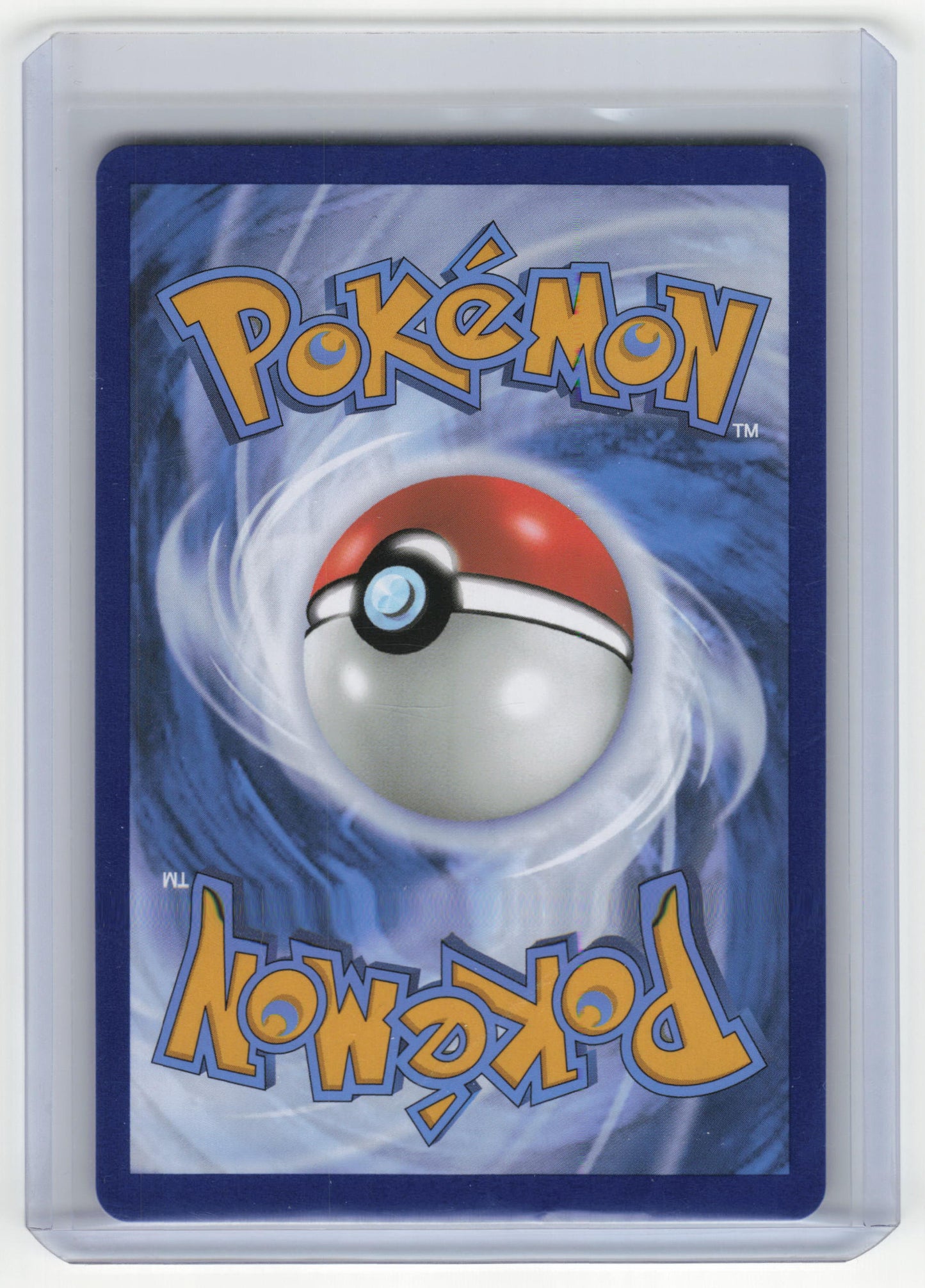 2023 Pokemon Lucario VSTAR SWSH Black Star Promo Holo #291 Near Mint