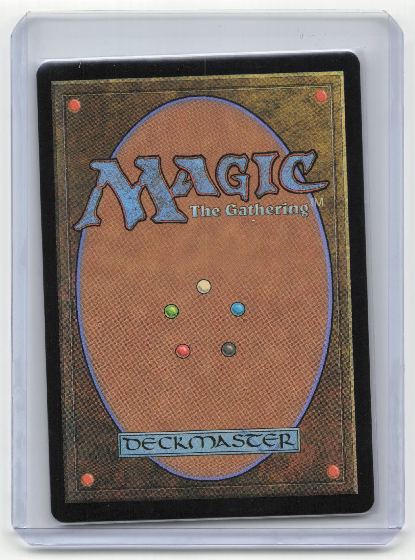 2024 Magic: The Gathering—Forest #1656 Secret Lair Drop—Rare Foil