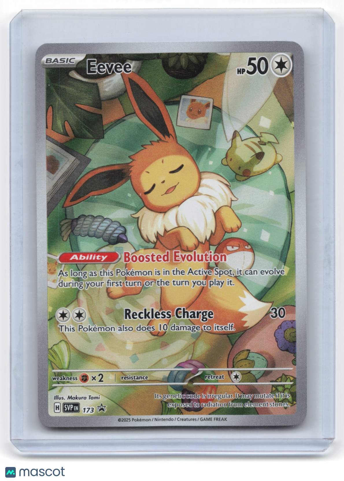 2025 Pokemon Eevee SVP Black Star Promo Holo #173 Near Mint