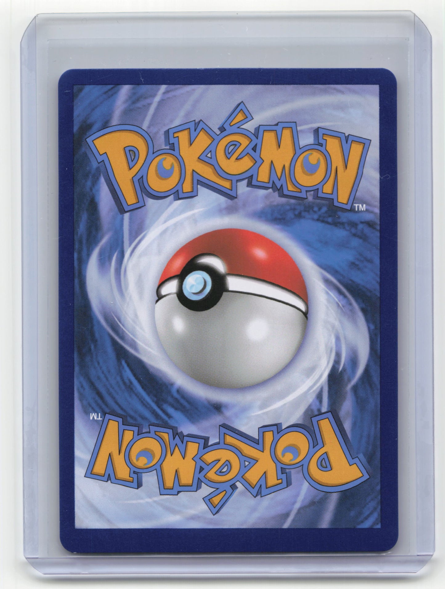 2023 Pokemon Lucario VSTAR Sword & Shield Promos Black Star Promo Holo #SWSH291