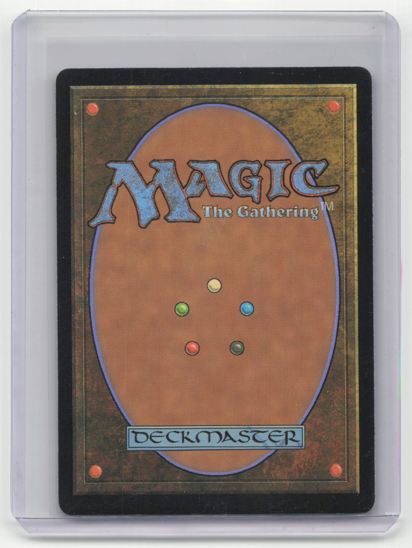 2024 Magic: The Gathering Lush Portico Murders at Karlov Manor Non-Foil #263