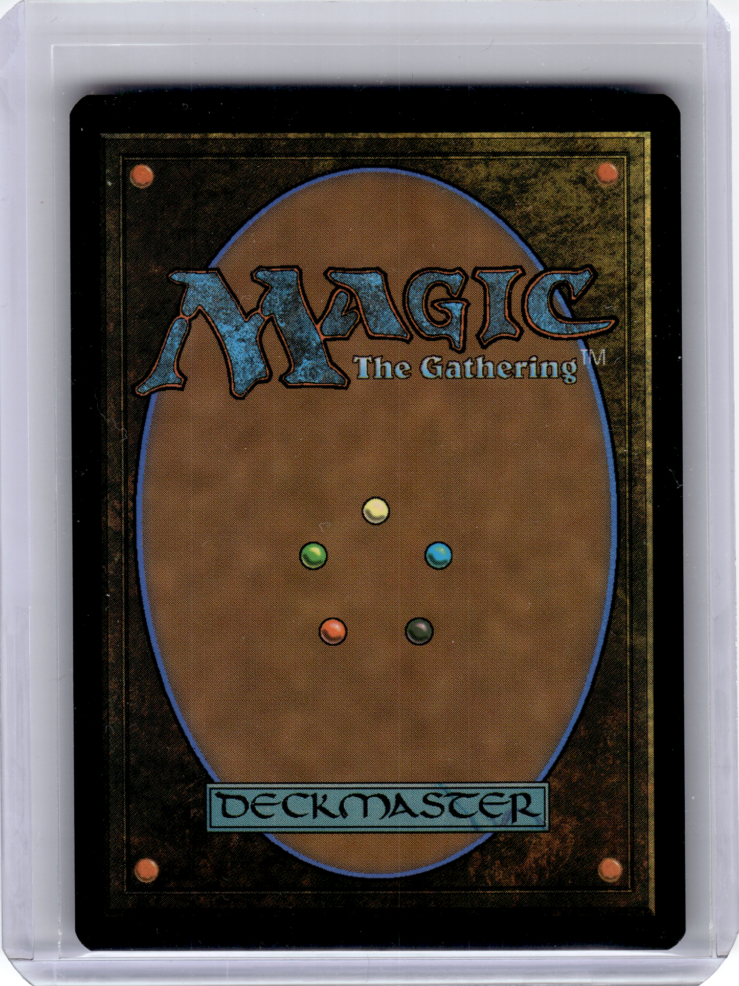 2024 Magic: The Gathering—Windswept Heath #360 Modern Horizons 3—Rare Non-Foil