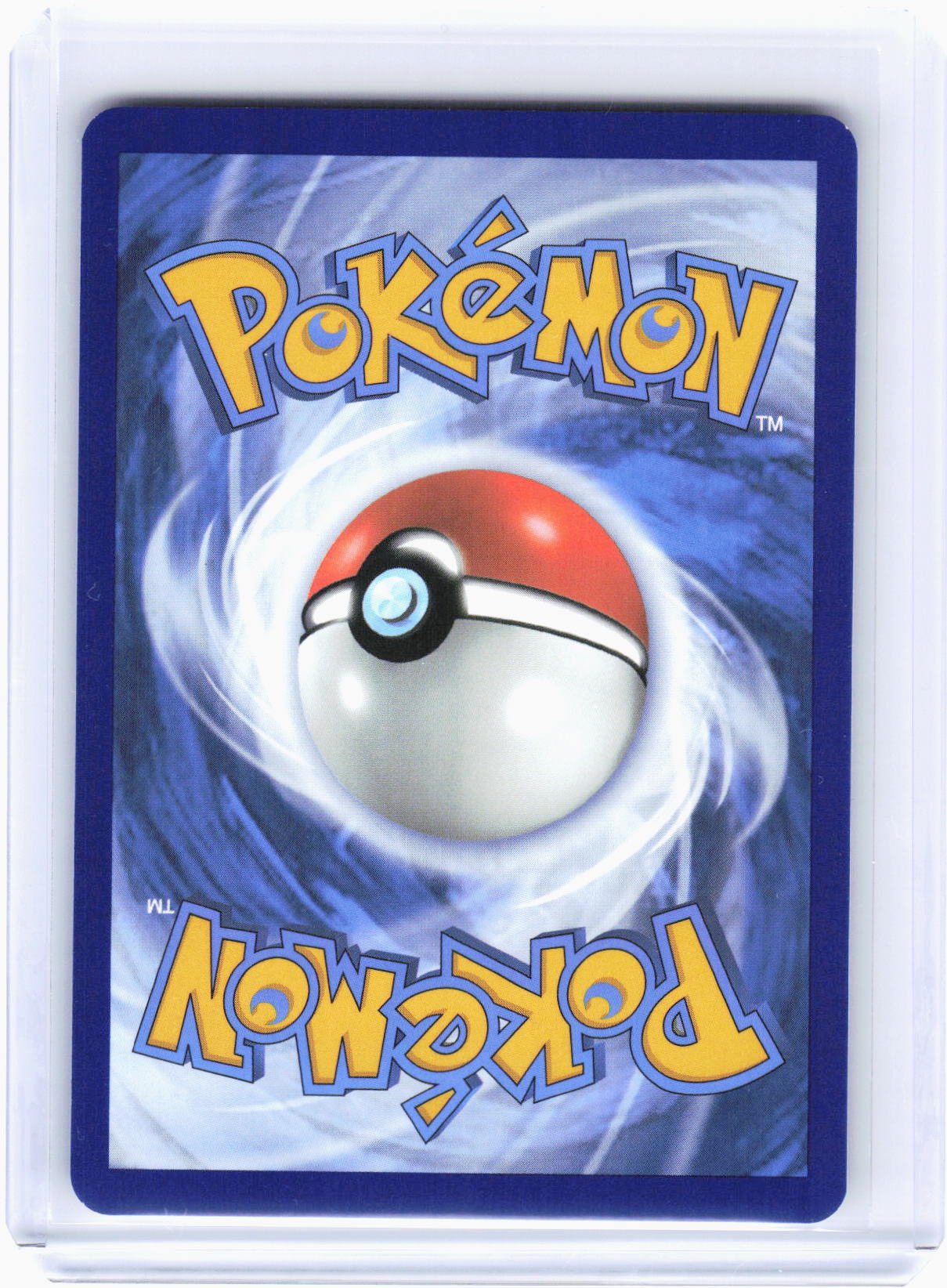 2025 Pokemon—Marnie's Morpeko #SVP EN 206 Scarlet & Violet Promo Cards—BSP Foil