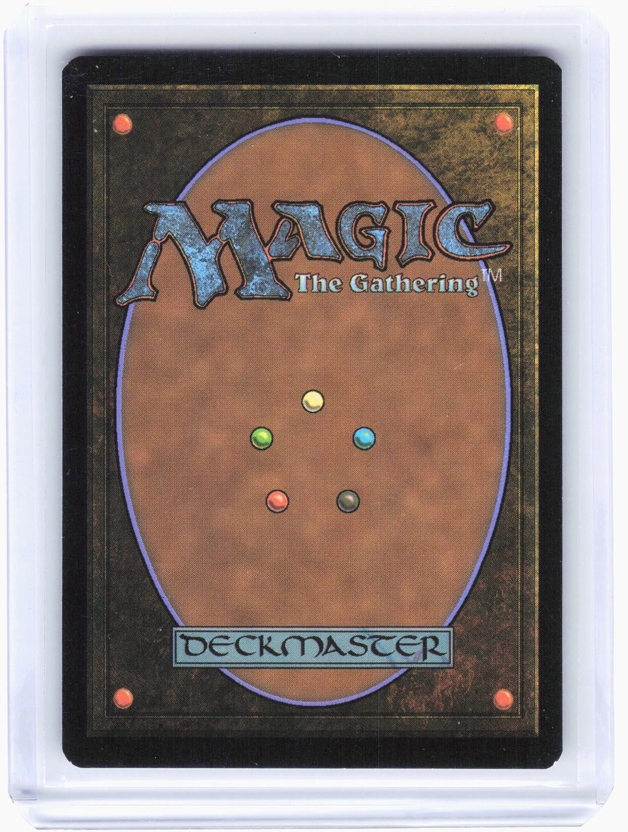 2022 Magic: The Gathering—Plains JP Full Art #293 (NEO)—Land Foil Japanese