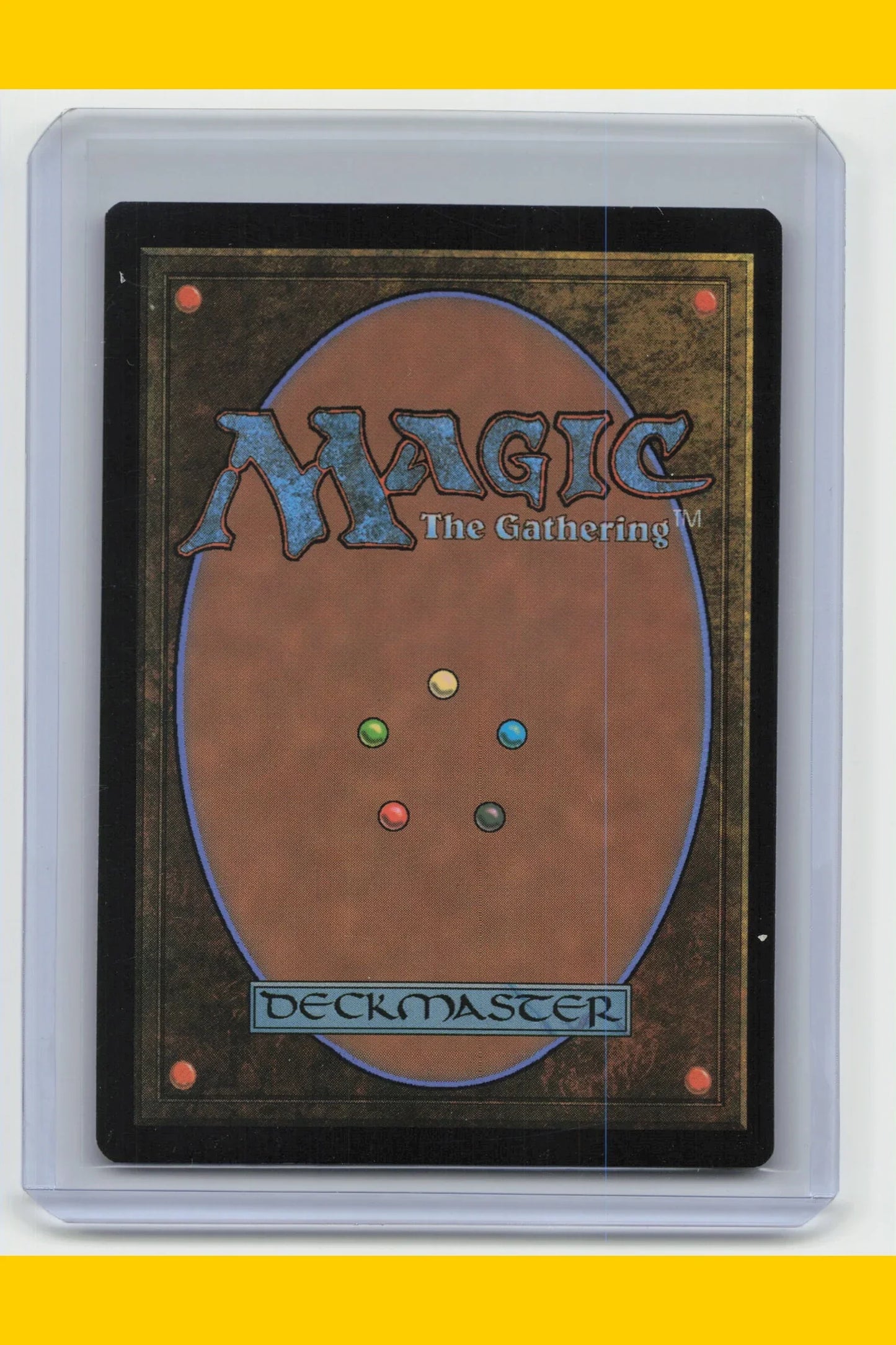 2024 Magic: The Gathering Floodfarm Verge Duskmourn #0259 English Holo - Papa Joey's Collectibles