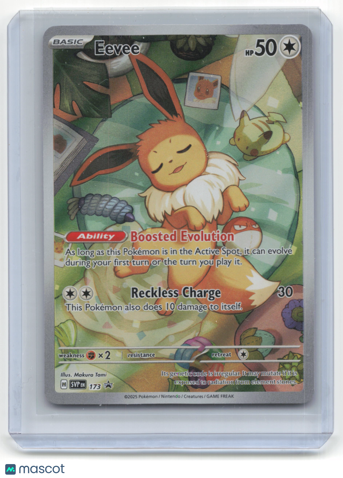 2025 Eevee Pokemon Promos #SVP EN 173 Near Mint