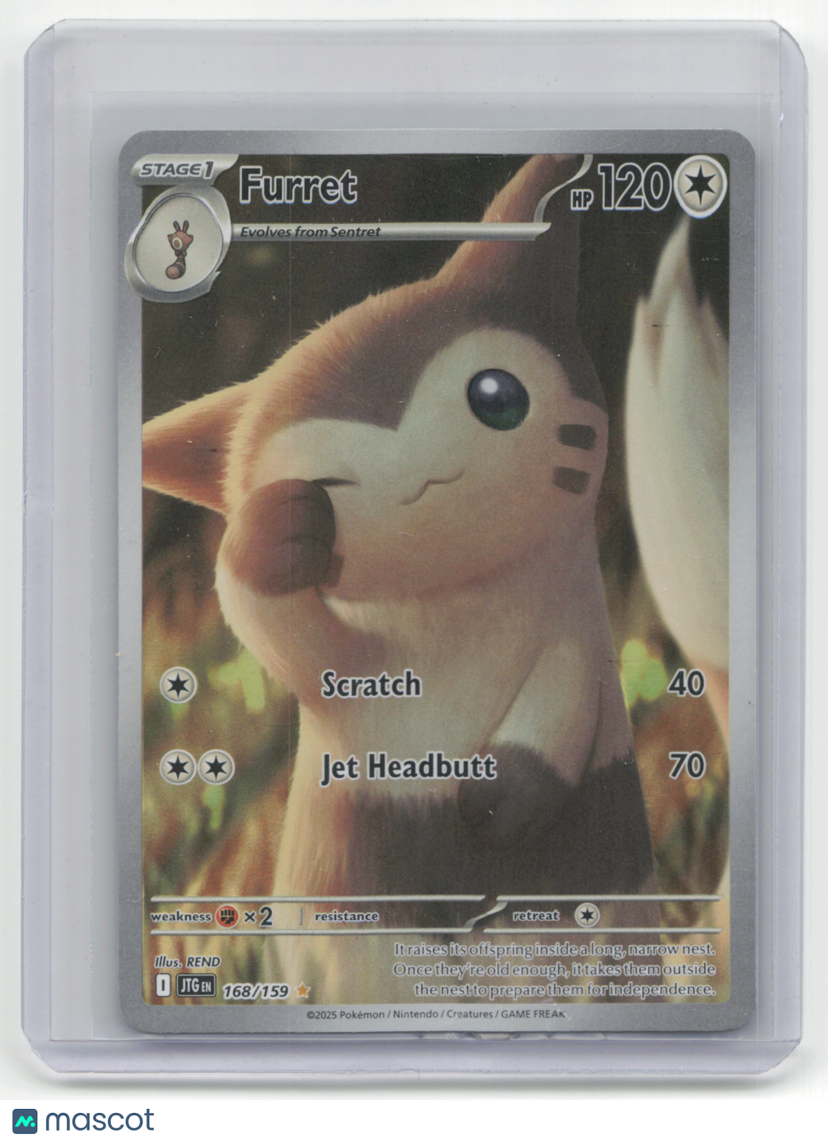 2025 Pokemon TCG Furret Journey Together #168/159