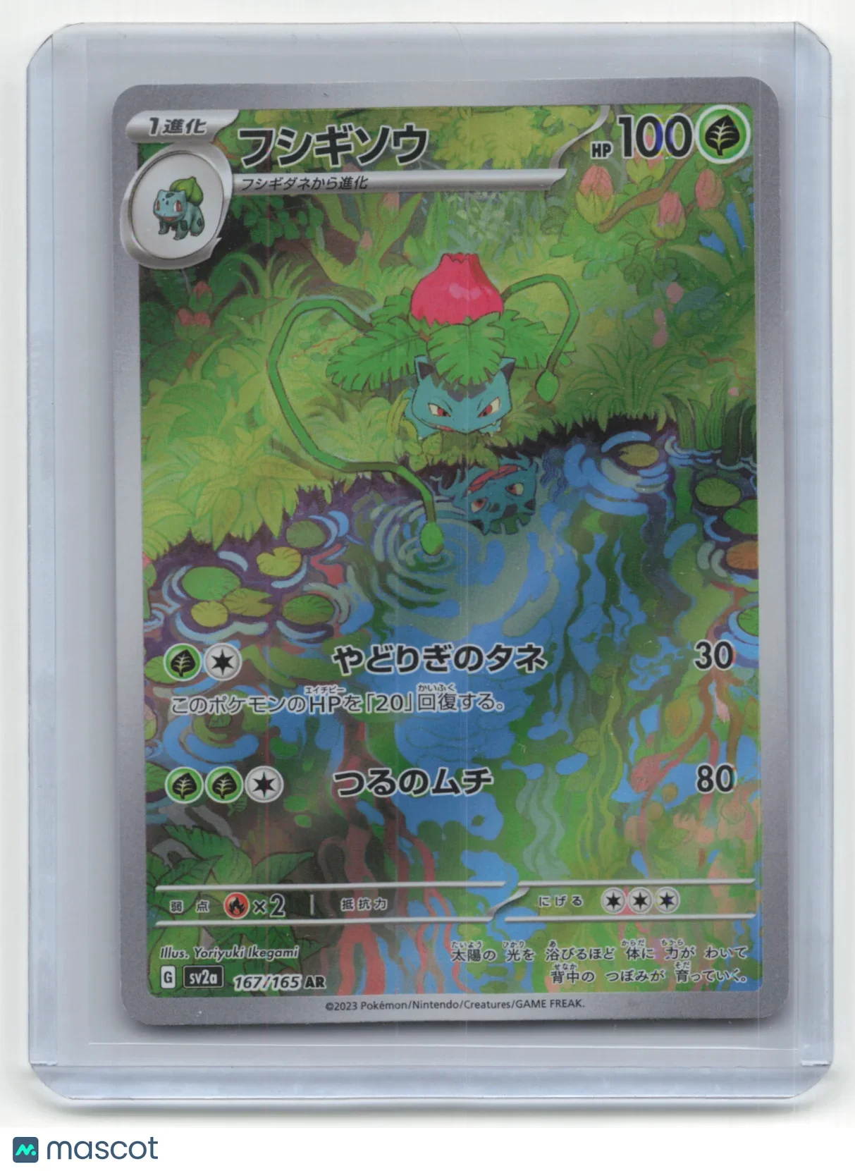 2023 Pokemon TCG Ivysaur Pokemon 151 #167/165 Japanese - Papa Joey's Collectibles