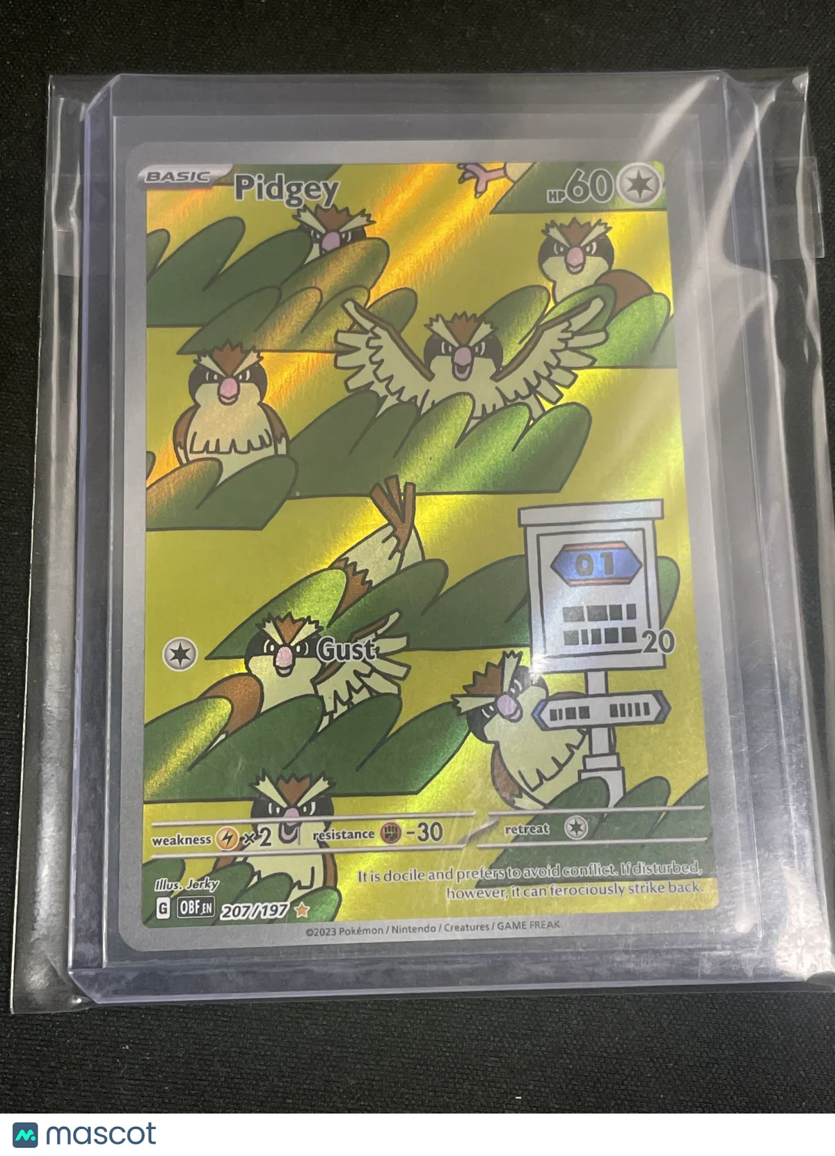 2023 Pokémon TCG Pidgey #207/197 - Papa Joey's Collectibles