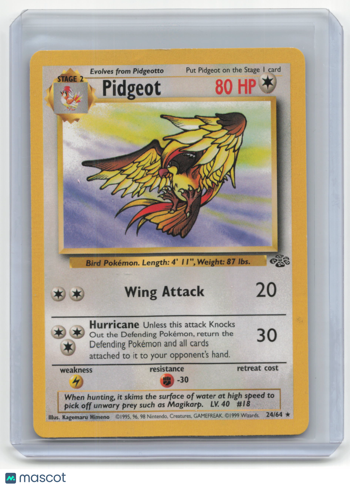 1999 Pokémon Pidgeot Jungle #24/64