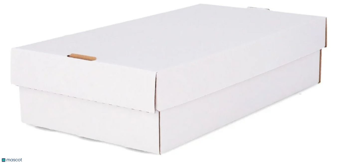 2022 BCW Storage 3000 Ct Super Shoe Storage Box