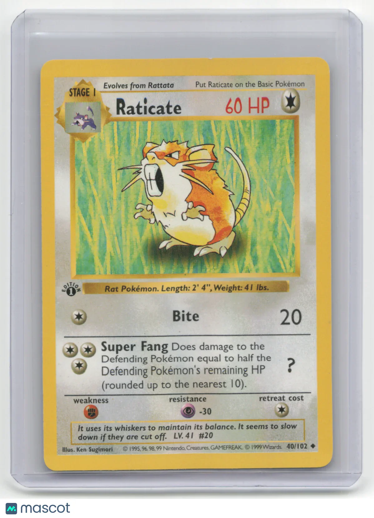 1999 Pokemon TCG Raticate Base Set #40/102 1st Edition Shadowless - Papa Joey's Collectibles