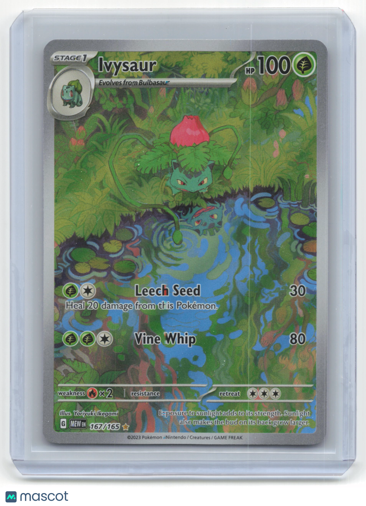 2023 Ivysaur Pokemon 151 #167/165