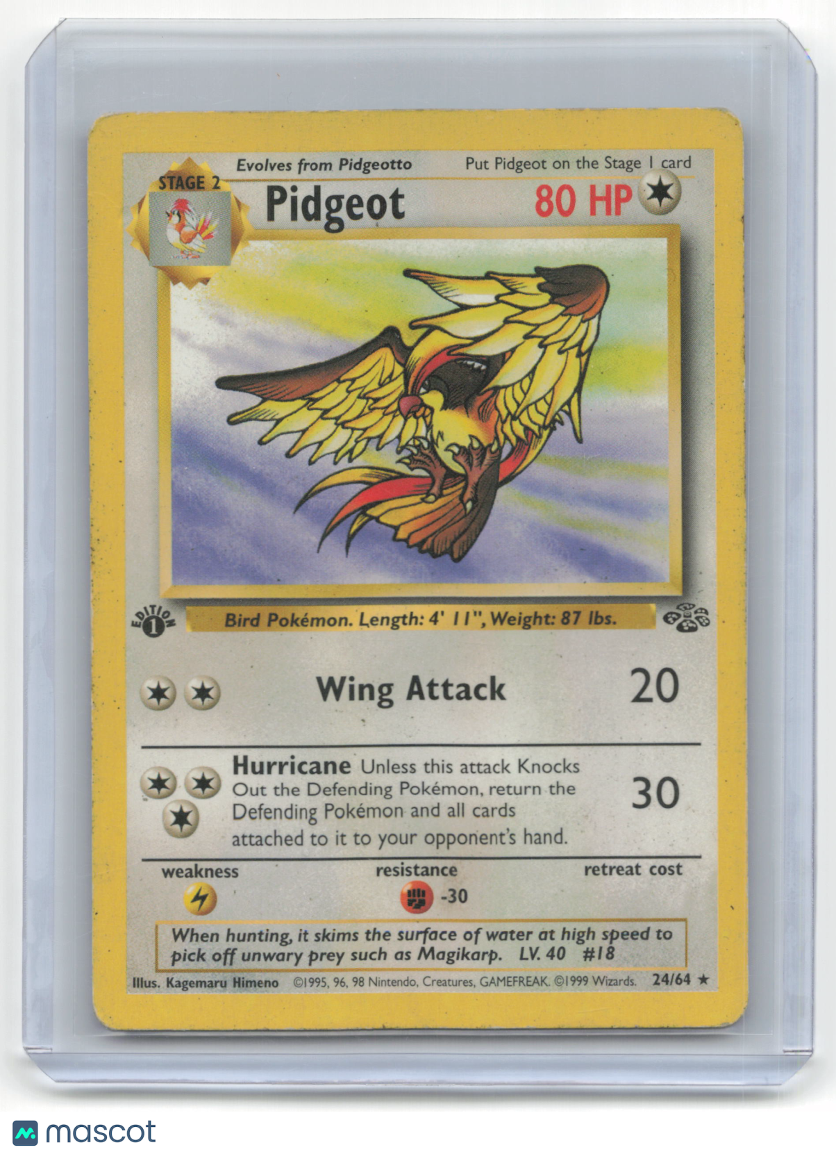 1999 Pokemon Pidgeot Jungle #24/64 Heavily Played 1st Edition