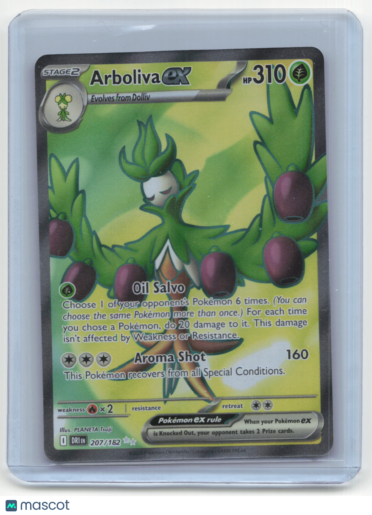 2025 Pokemon Arboliva EX Destined Rivals #207/182
