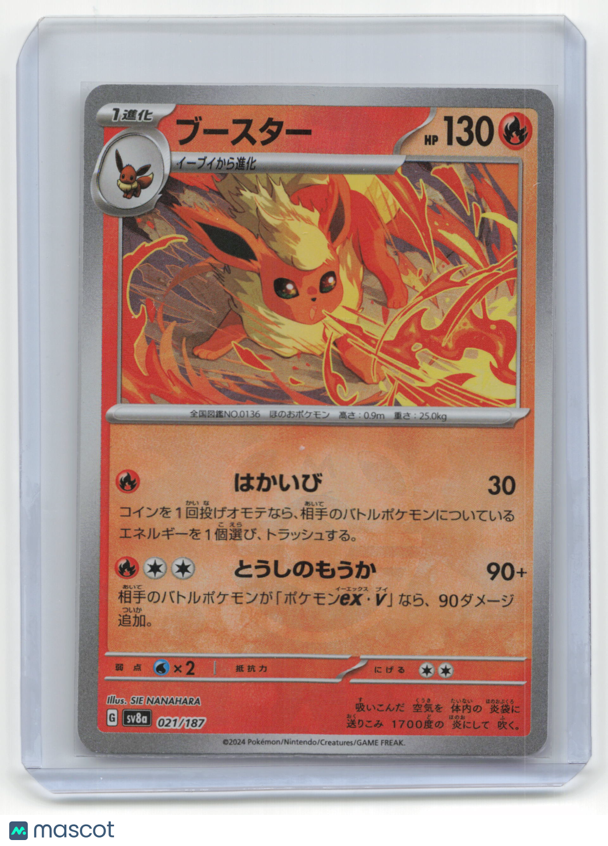 2024 Pokemon Flareon Terastal Fest EX #021/187 Japanese MasterBall Holo