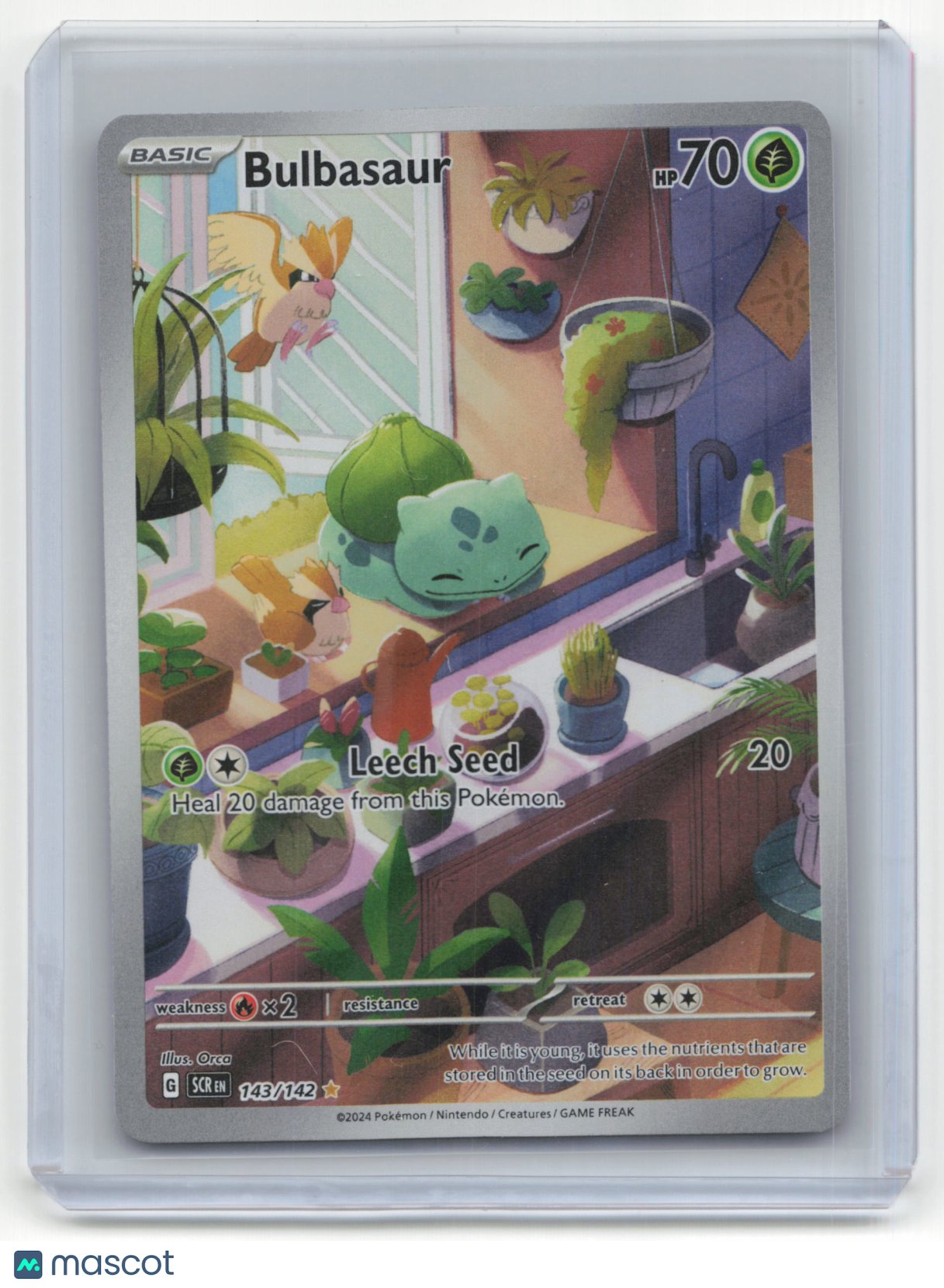 2024 Pokemon TCG Bulbasaur Stellar Crown #143/142