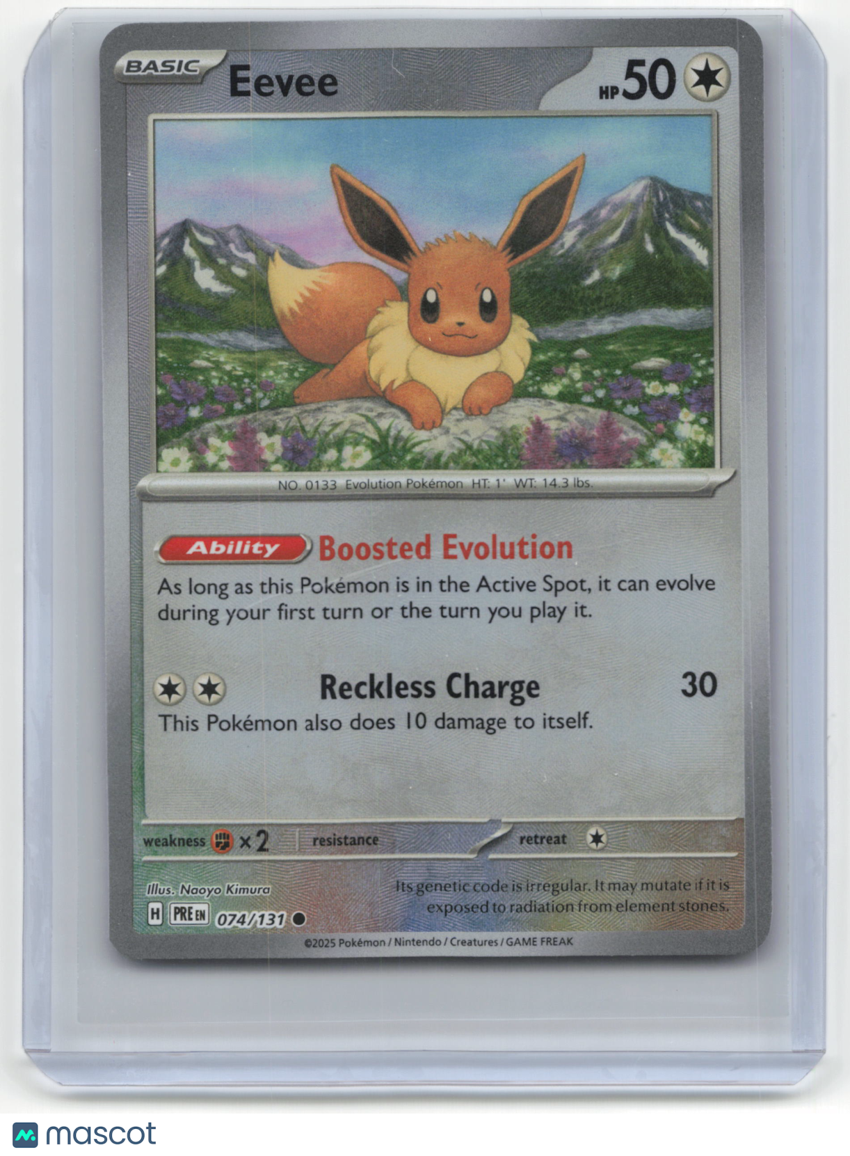 Eevee 2021 Pokemon Sword & Shield Evolving Skies #074/203 074/131