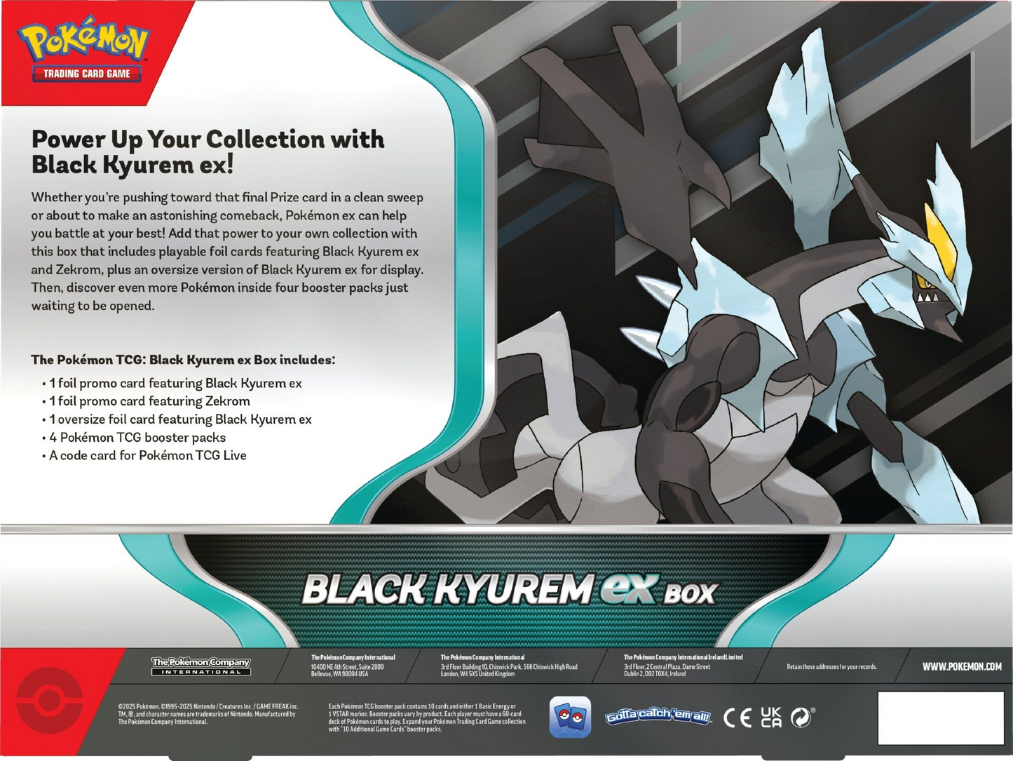 2025 Pokemon TCG: Black Kyurem ex Box