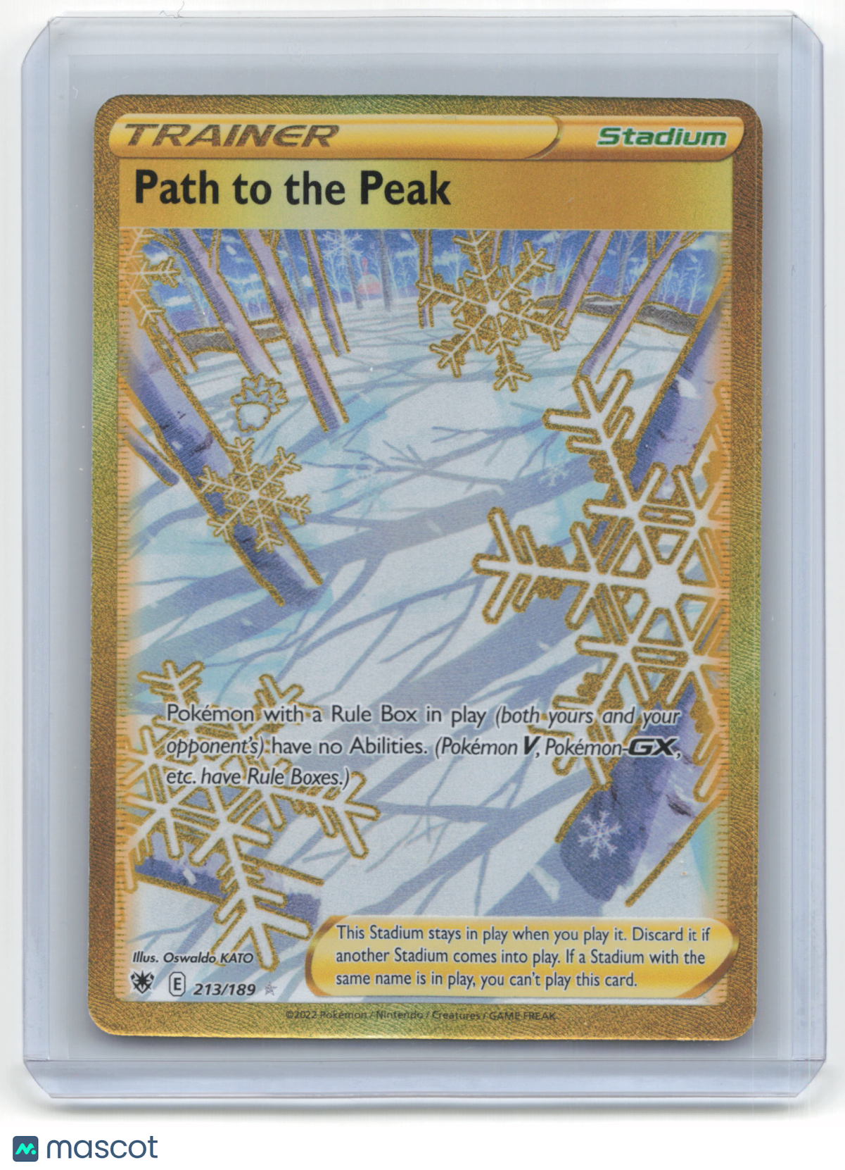 2022 Pokemon TCG Path to the Peak Astral Radiance #213/189