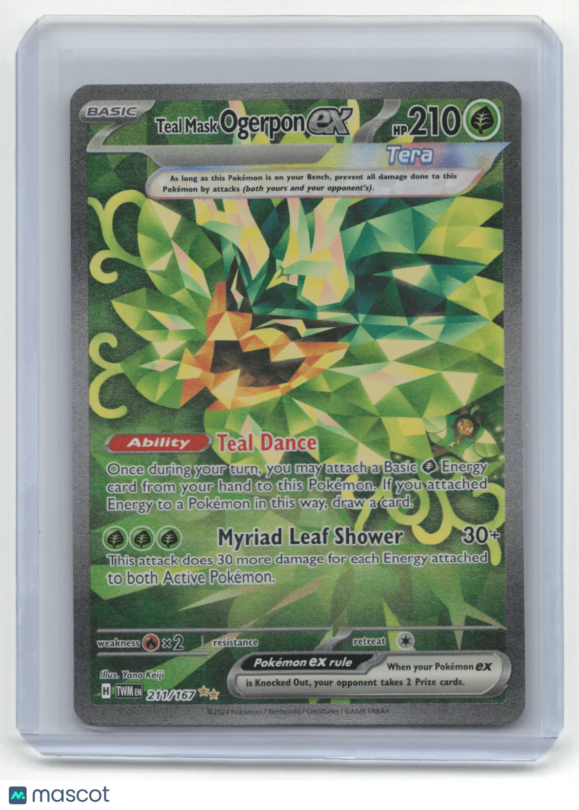 2024 Pokemon Ogerpon Twilight Masquerade #211/167 - Papa Joey's Collectibles