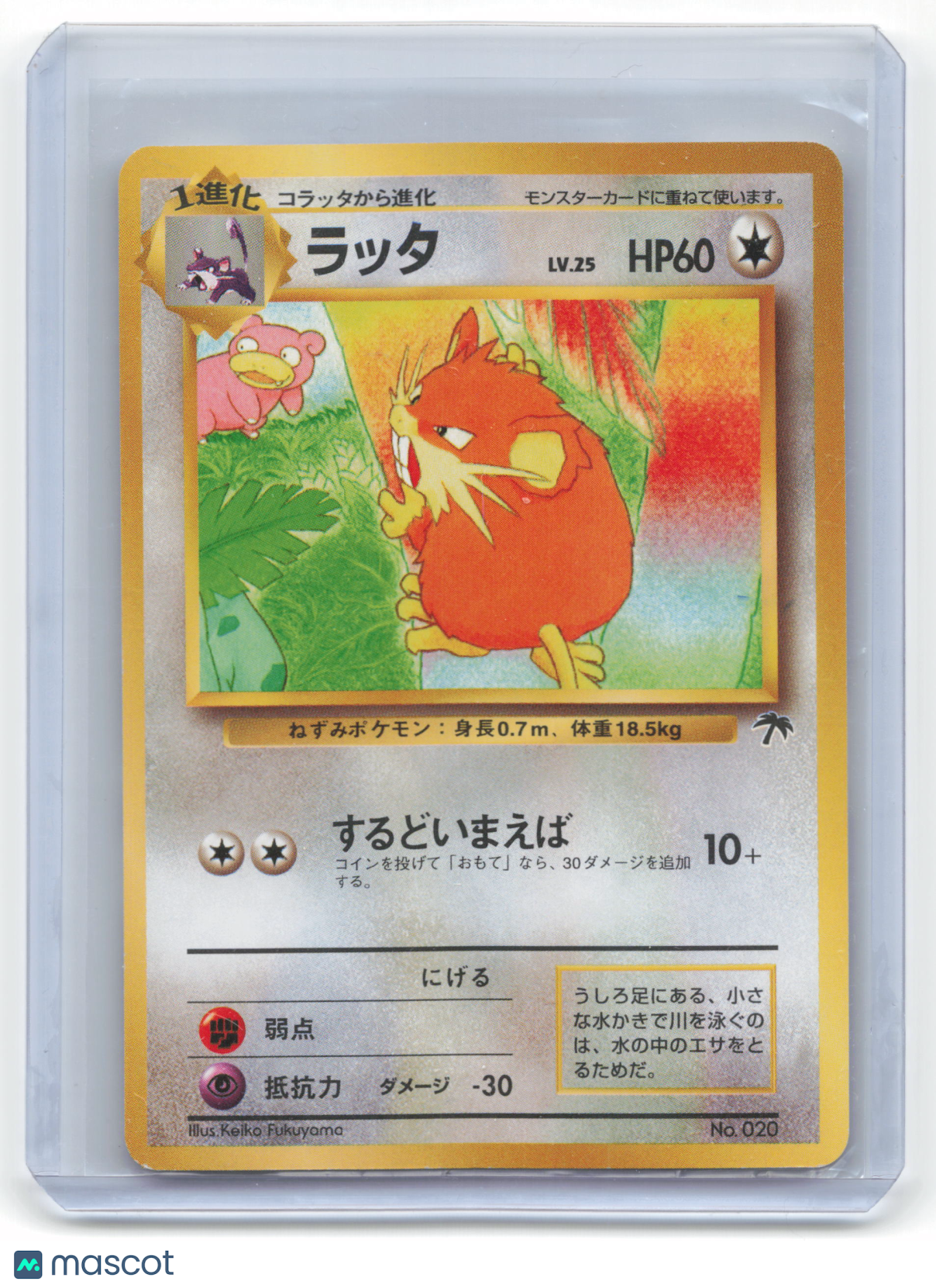 1997 Pokemon Raticate Southern Islands #No.020 Japanese Near Mint