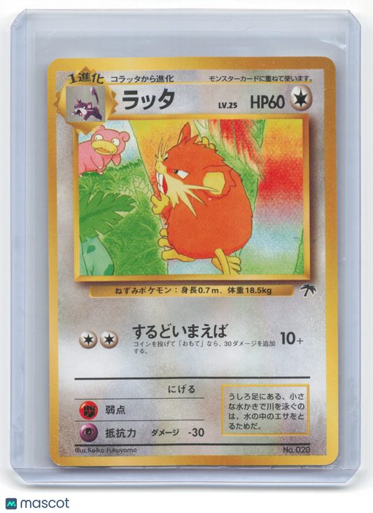 1997 Pokemon Raticate Southern Islands #No.020 Japanese Near Mint