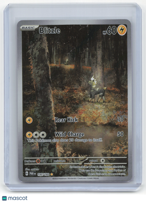 Descriptive image text