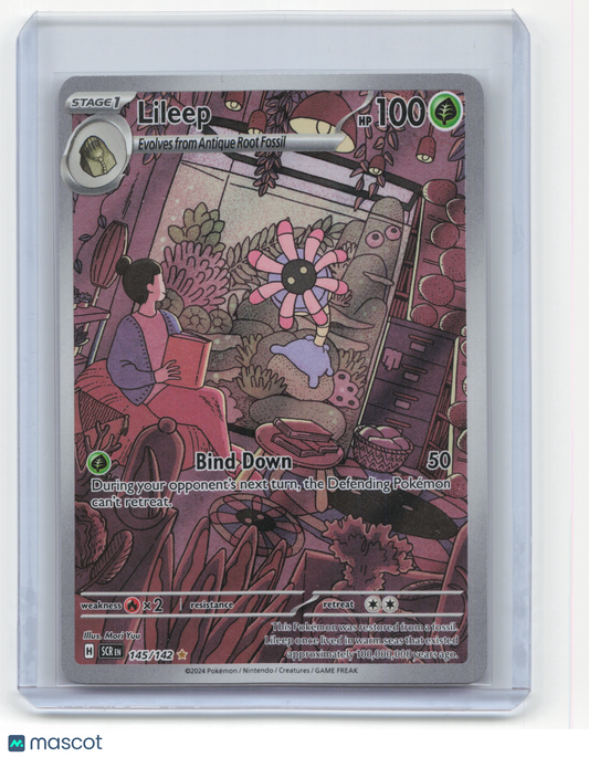 2024 Pokemon Lileep Stellar Crown #145/142 Illustration Rare Near Mint
