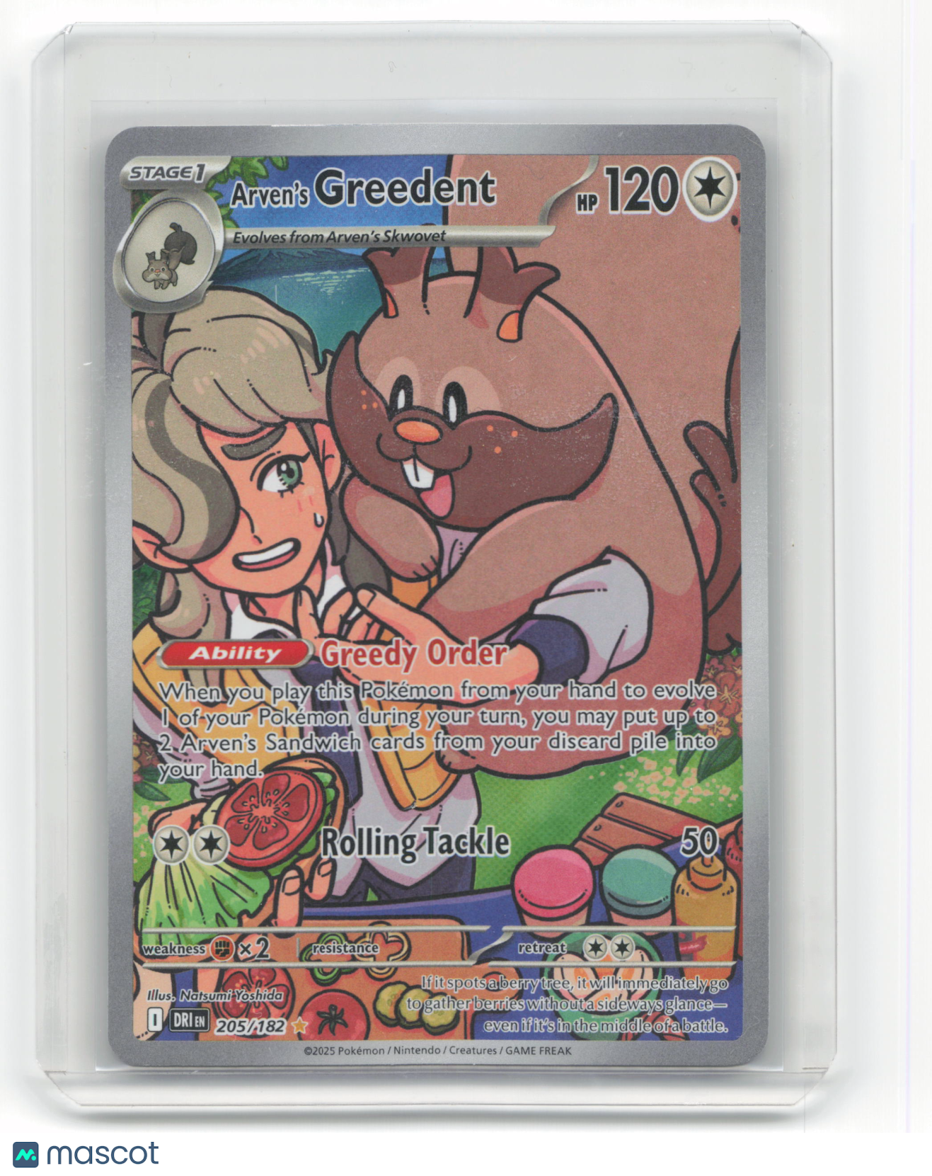 2025 Pokemon Arven's Greedent Destined Rivals #205/182 IR Near Mint