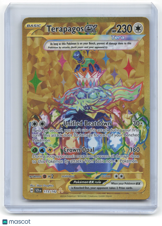 2024 Pokemon Terapagos EX Stellar Crown #173/142 Near Mint