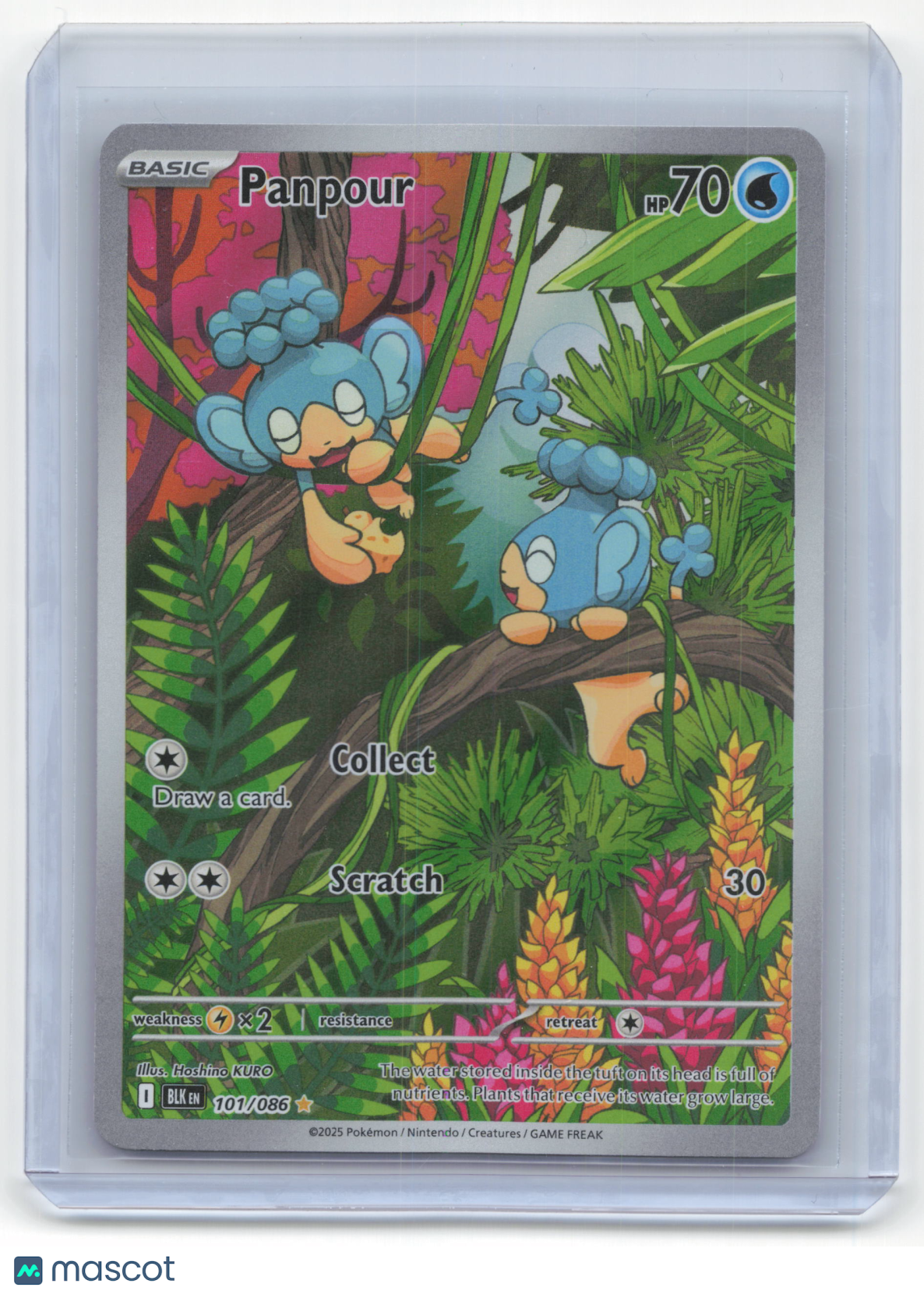 2025 Pokemon Panpour Black Bolt #101/086 Illustration Rare Near Mint