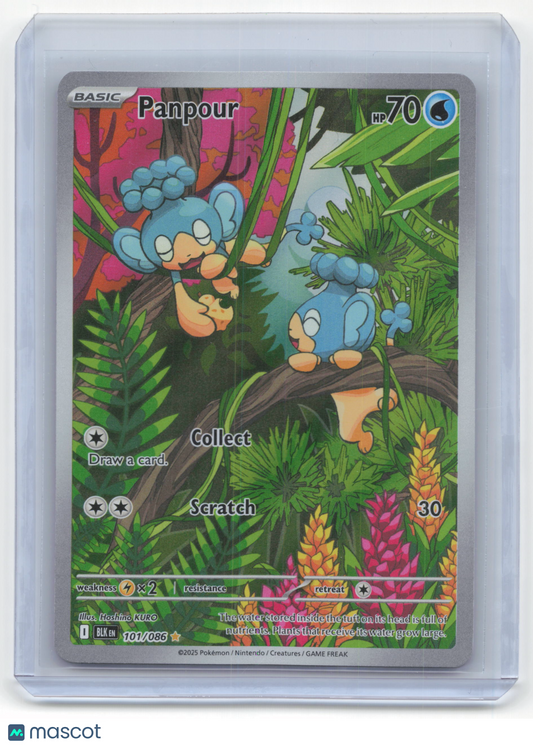 2025 Pokemon Panpour Black Bolt #101/086 Illustration Rare Near Mint
