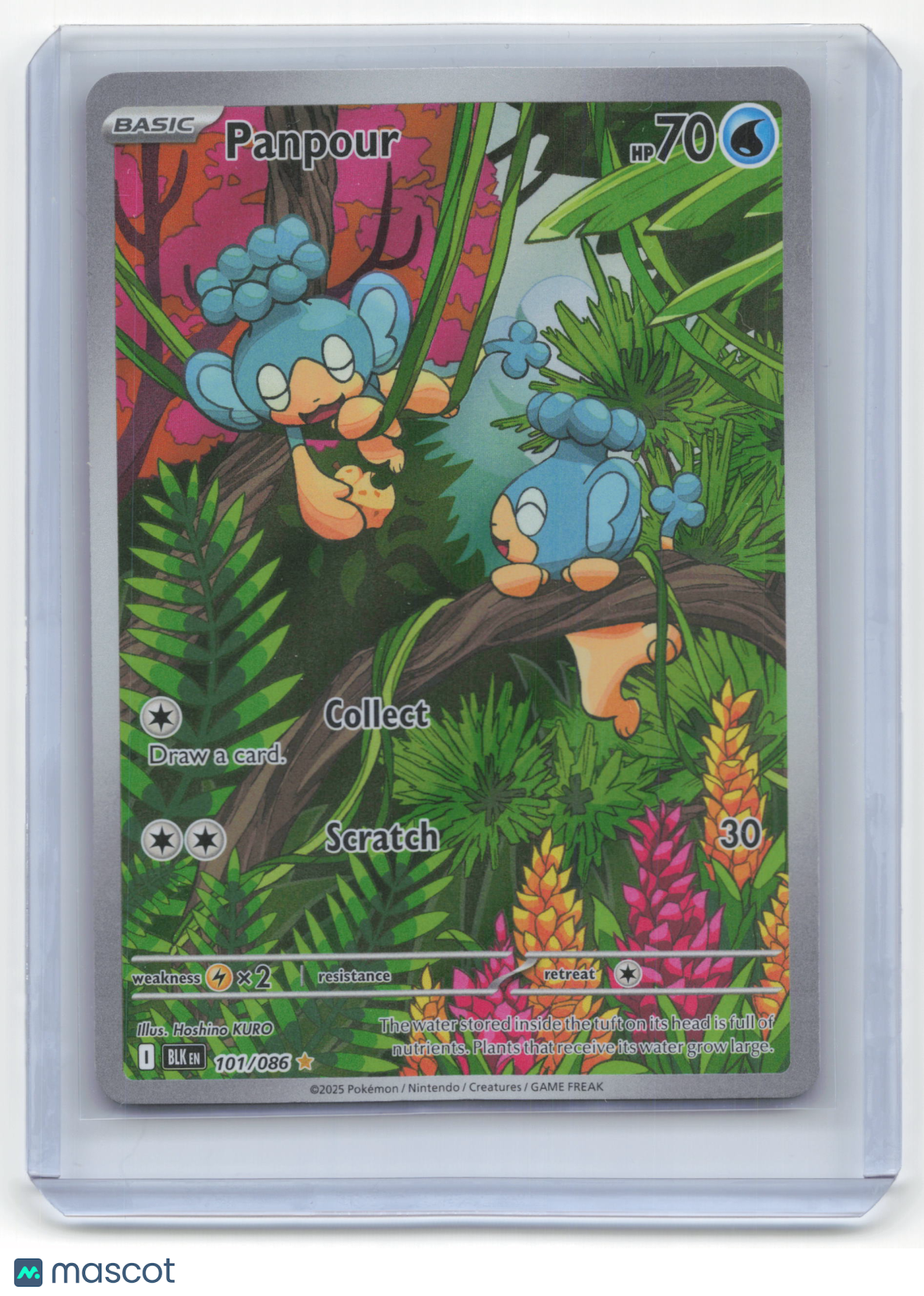 2025 Pokemon Panpour Black Bolt #101/86 Near Mint