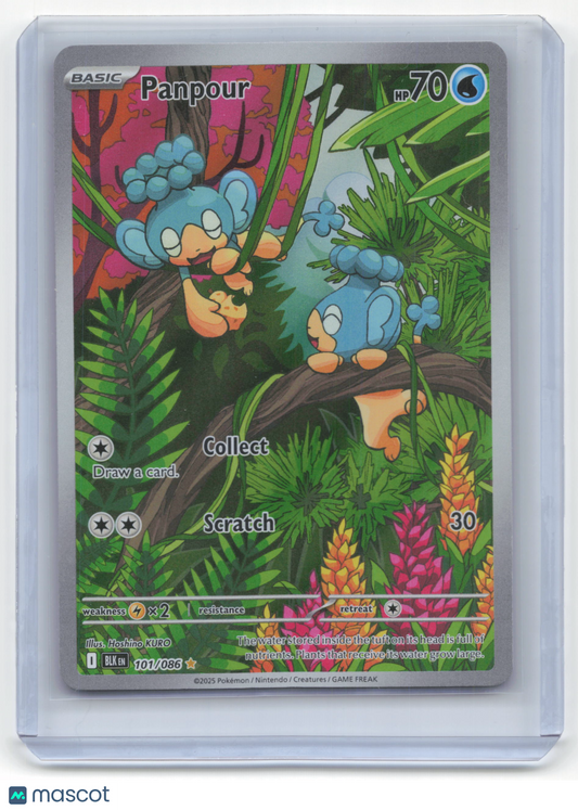 2025 Pokemon Panpour Black Bolt #101/86 Near Mint