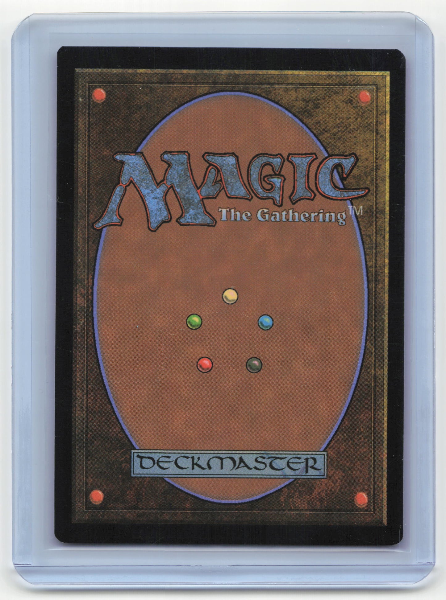 2024 Magic: The Gathering Waterlogged Grove Assassin's Creed #0116 NM