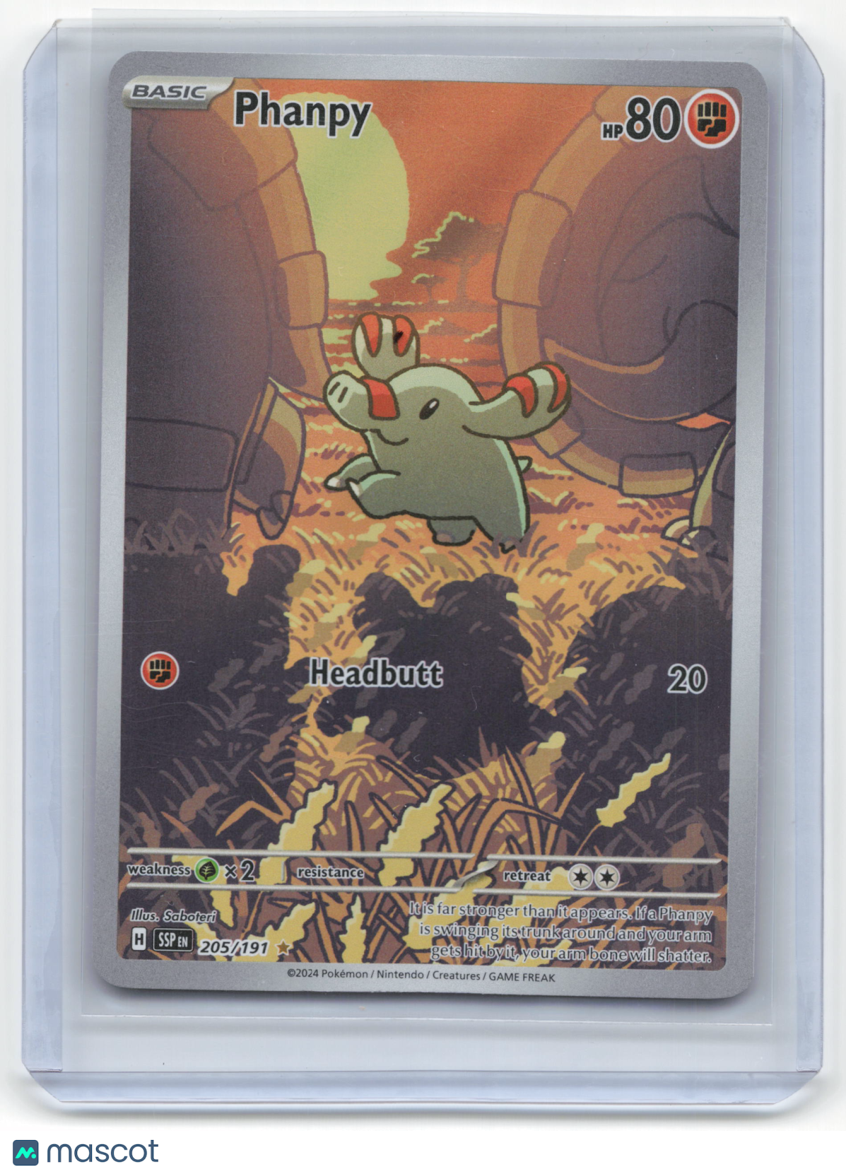 2024 Pokemon Phanpy Surging Sparks #205/191 Near Mint