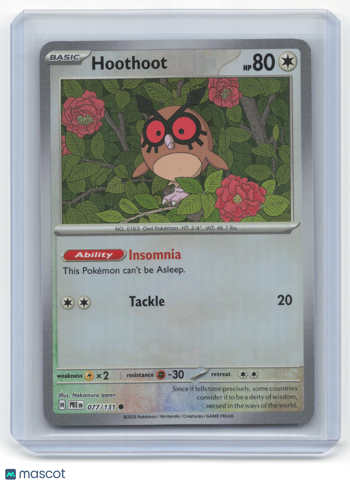 2025 Pokemon Hoothoot Prismatic Evolutions #77/131 Near Mint [MASTERBALL]