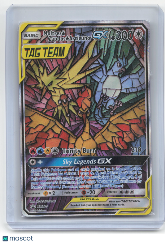 2019 Pokemon Moltres & Zapdos & Articuno GX SM Black Star Promos #SM210 (Sealed)