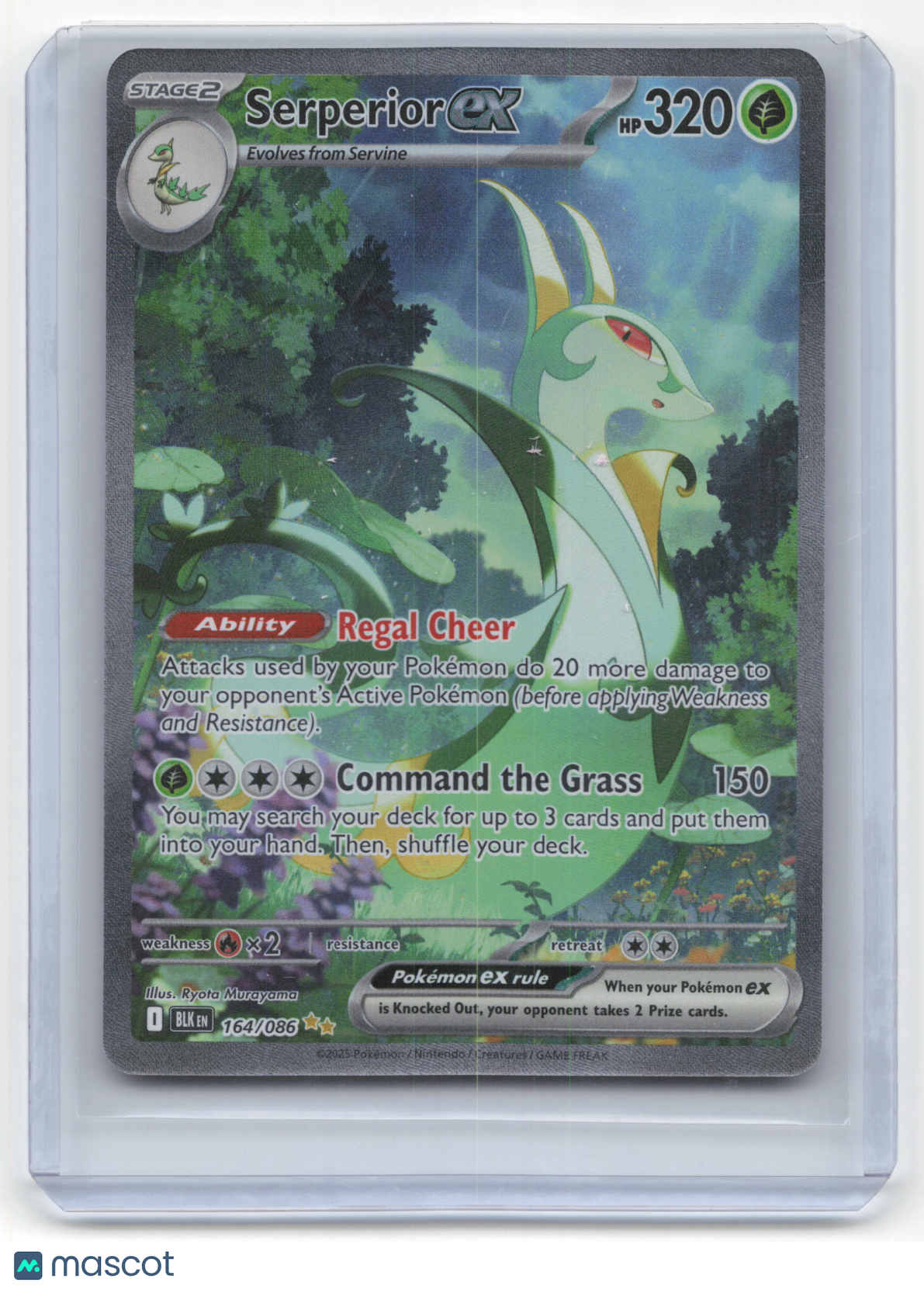 2025 Pokemon Serperior EX Black Bolt #164/86 Near Mint
