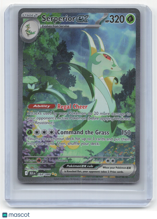 2025 Pokemon Serperior EX Black Bolt #164/86 Near Mint