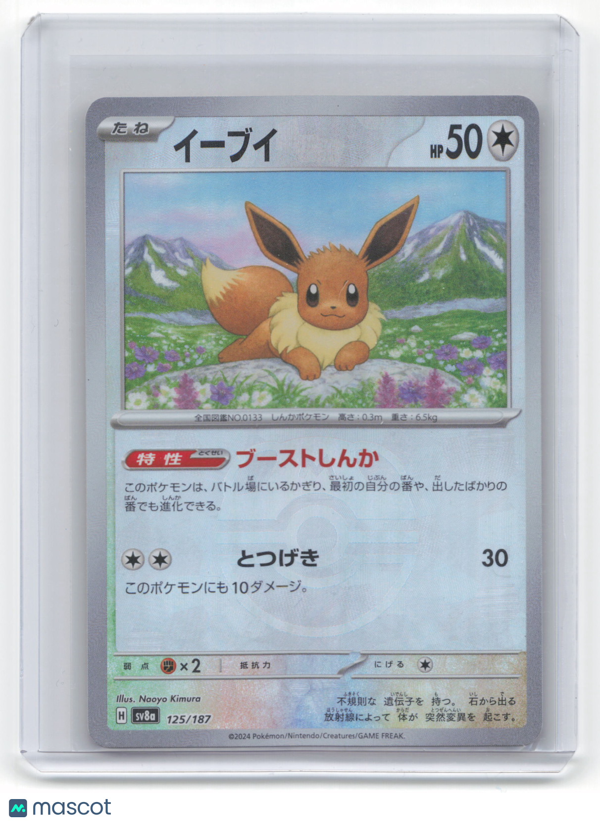 2024 Pokemon Eevee Terastal Festival ex #125/187 Japanese Masterball Pattern NM