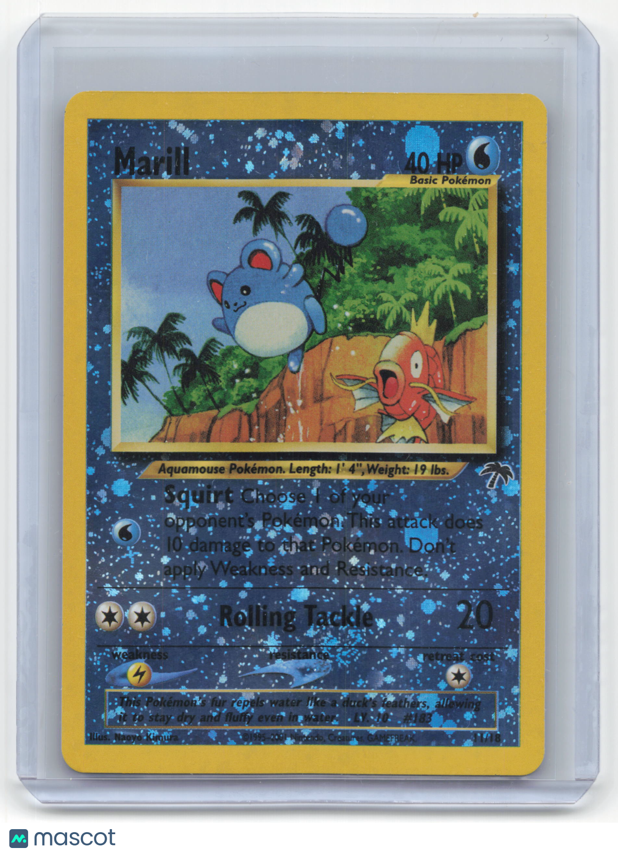 2001 Pokemon Marill Southern Islands #11/18 Near Mint
