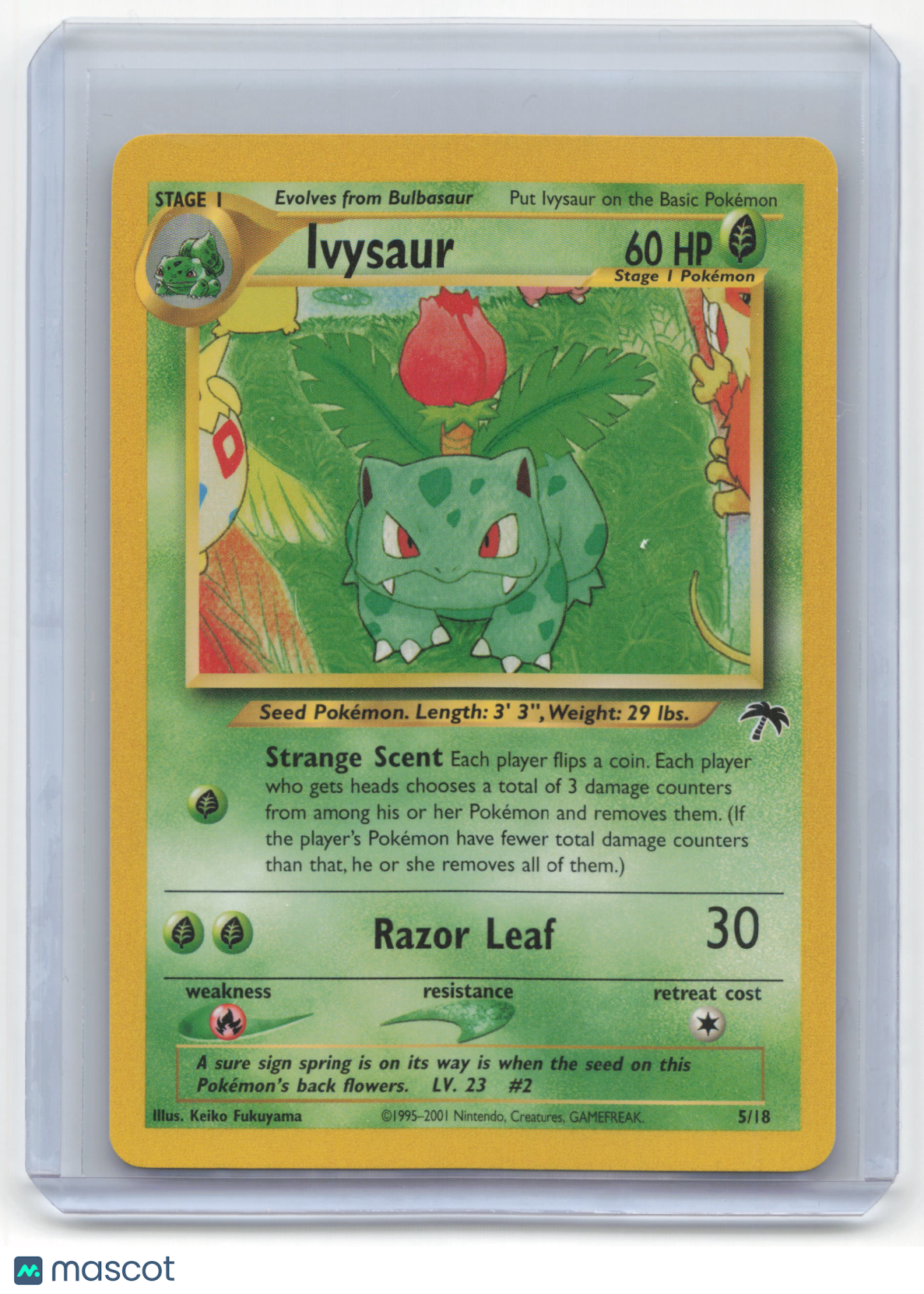 Pokemon Ivysaur 2001 Southern Islands #5/18 Near Mint
