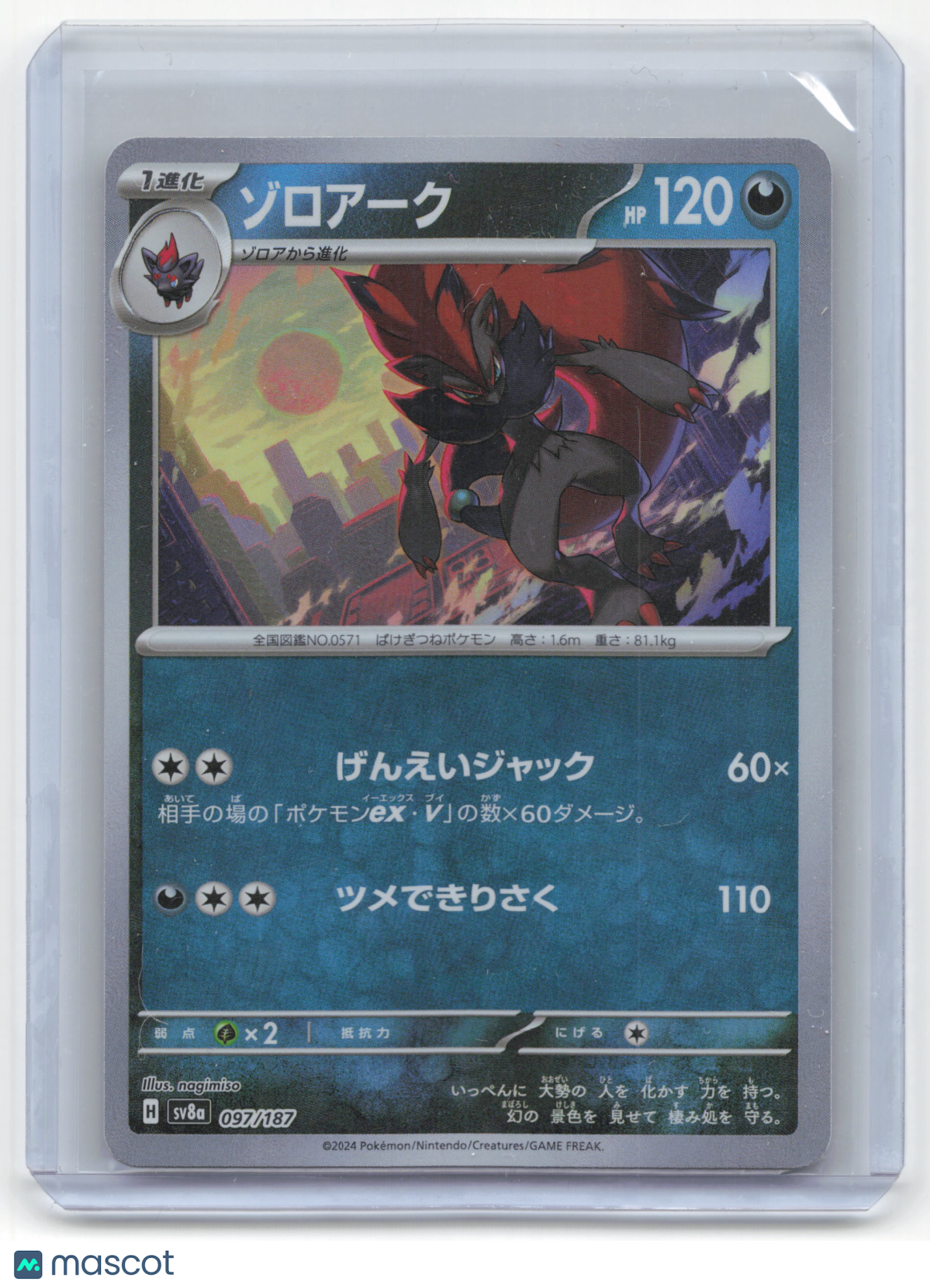 Pokemon Zoroark Terastal Festival ex #097/187 Japanese Masterball Pattern NM
